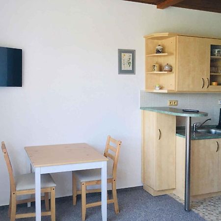 Apartments In Harrachov/Riesengebirge 2300 外观 照片